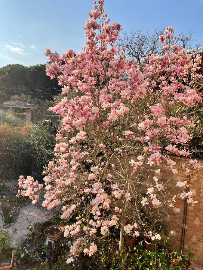 C'Era Una Volta B&B Perugia Exteriör bild